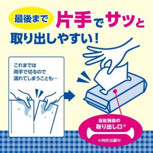 大王製紙 エリエール 超吸収キッチンタオルシー...の詳細画像1