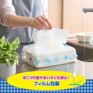 大王製紙 エリエール 超吸収キッチンタオルシー...の詳細画像3