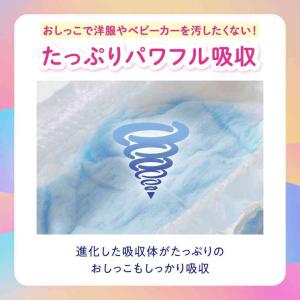 大王製紙 グーン おしっこモレ0へ Lサイズ ...の詳細画像3