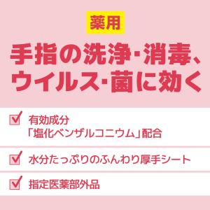 エリエール薬用消毒できるアルコールタオル携帯用28枚の詳細画像1