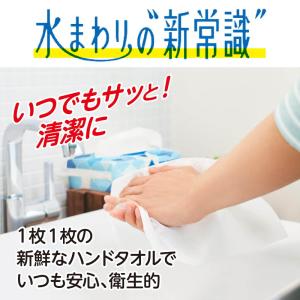 エリエールPlus+キレイペーパータオルコンパ...の詳細画像1