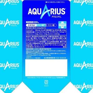 ◆コカコーラ アクエリアス パウチ 300g【...の詳細画像1