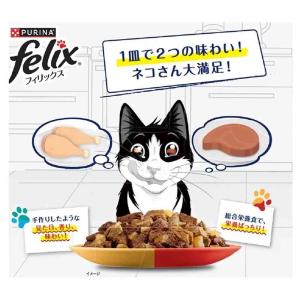 【ポイント10倍】ネスレ フィリックス ダブル...の詳細画像3