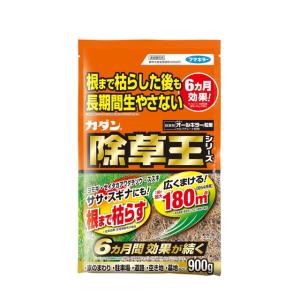 フマキラー カダン除草王 オールキラー 900G
