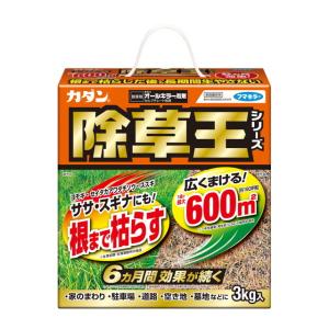 【農薬】フマキラー カダン除草王オールキラー粒剤 3kg