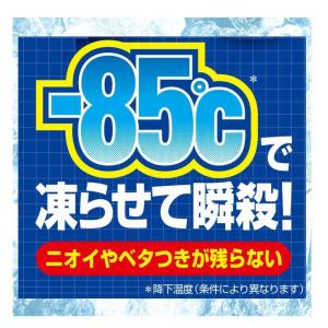 フマキラー 凍殺ジェット 300mlの詳細画像1