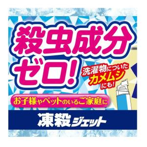 フマキラー 凍殺ジェット 300mlの詳細画像2