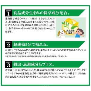 フマキラー 虫よけ除草王 2Lの詳細画像2
