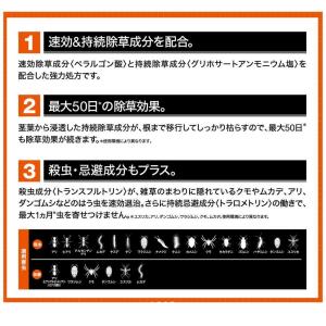 【ポイント10倍】フマキラー 根まで枯らす 虫...の詳細画像2