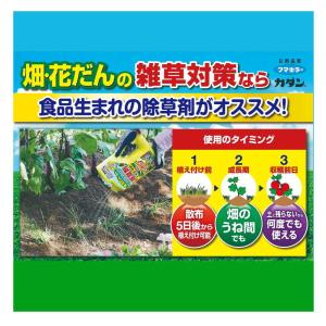 【農薬】フマキラー カダン 除草王 ビネガーキ...の詳細画像3