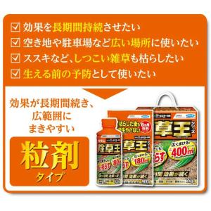 【ポイント10倍】【農薬】フマキラー カダン ...の詳細画像1