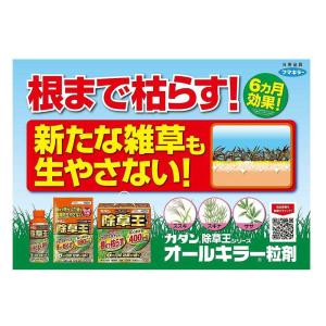 【ポイント10倍】【農薬】フマキラー カダン ...の詳細画像2