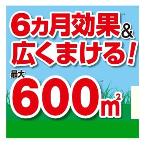 【ポイント10倍】【農薬】フマキラー カダン ...の詳細画像3