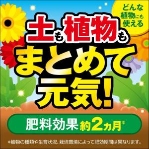 フマキラー カダン感動肥料あらゆる植物用 500gの詳細画像2