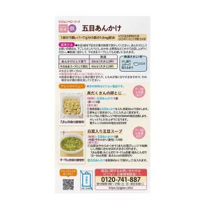 ◆ピジョン かんたん粉末+鉄 五目あんかけ 6...の詳細画像1