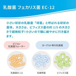 ◆ピジョン 乳酸菌ウォーター 500ml【24...の詳細画像1