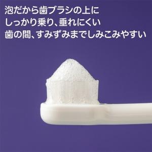 ピジョン おやすみ前のフッ素コート 40mlの詳細画像1
