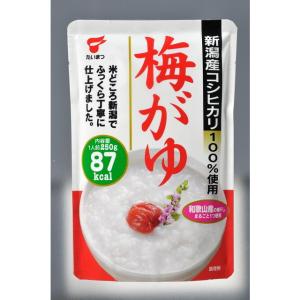 ◆たいまつ 梅がゆ 250g【10個セット】