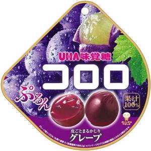 ◆味覚糖 コロロ グレープ 48G【6個セット】
