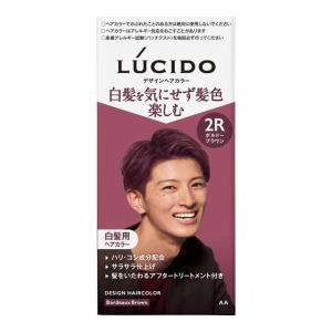 ポイント5倍】利尻 炭酸カラーシャンプー ブラック 180g : サン