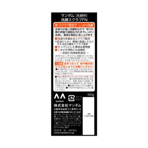マンダム 炭洗顔フォーム 100gの詳細画像1