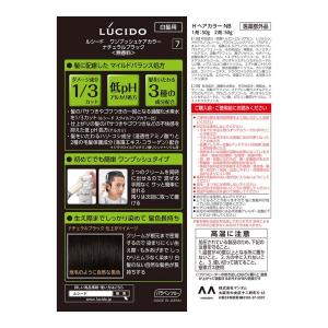 【医薬部外品】マンダム ルシード ワンプッシュ...の詳細画像1