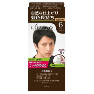 LUCIDO（ルシード） 【医薬部外品】マンダム ワンプッシュケアカラー