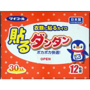 貼るダンダン３０個入り