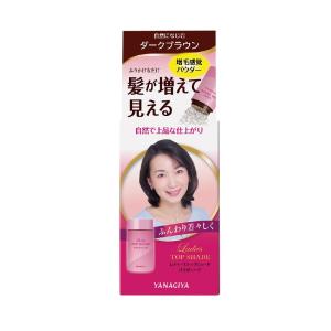3個セット 柳屋本店 レディーストップシェード パウダーヘア ダーク