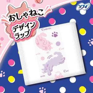 【医薬部外品】ユニ・チャーム センターイン ふ...の詳細画像2