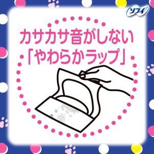 【医薬部外品】ユニ・チャーム センターイン ふ...の詳細画像3
