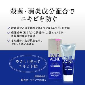 【医薬部外品】ペアアクネ クリィーミィ洗顔フォ...の詳細画像1