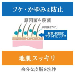 オクトセラピエ薬用スキンケアシャンプー 230MLの詳細画像1