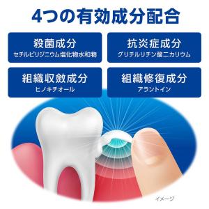 【第3類医薬品】デントヘルスR 40Gの詳細画像2