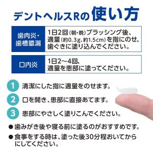 【第3類医薬品】デントヘルスR 40Gの詳細画像3
