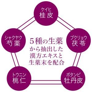 【第2類医薬品】ペア漢方エキス錠 240錠の詳細画像2