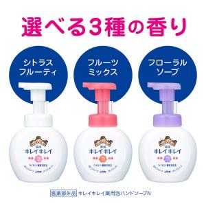 キレイキレイ泡ハンドソープシトラス本体 250MLの詳細画像1