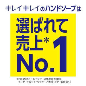 キレイキレイ泡ハンドソープシトラス本体 250MLの詳細画像2