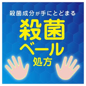 キレイキレイ泡ハンドソープシトラス本体 250MLの詳細画像3