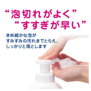 キレイキレイ泡ハンドソープシトラス本体 250MLの詳細画像4