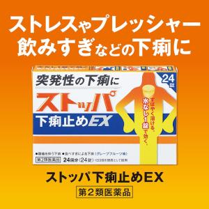 【第2類医薬品】ストッパ下痢止めEX 24錠の詳細画像1