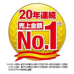 ライオン システマハブラシ レギュラー4列 ふ...の詳細画像2