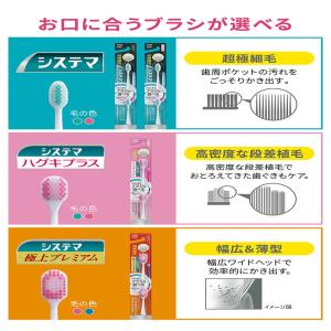 ライオン LION電動アシスト付替 システマ ...の詳細画像3