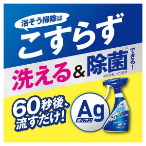 ライオン ルックプラス バスタブクレンジング ...の詳細画像4