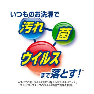 部屋干しトップ除菌EX 詰替え 810gの詳細画像2