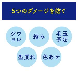 ライオン アクロン フローラルブーケ つめかえ...の詳細画像3