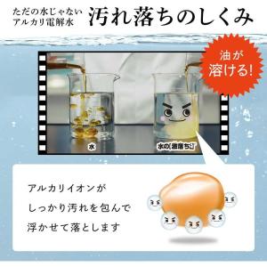 レック 水の激落ちくん 詰め替え 1000mLの詳細画像1
