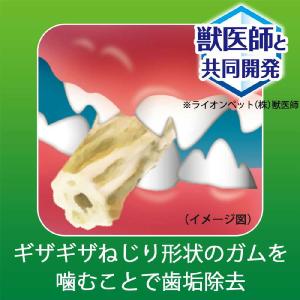 PETKISS 食後の歯みがきガム 無添加 や...の詳細画像4