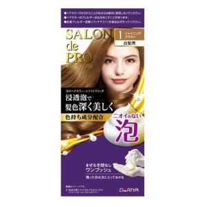 医薬部外品】サロンドプロ 泡のヘアカラー エクストラリッチ（白髪用