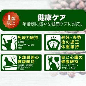 ピュアボウル グレインフリー 1歳以上成猫用 ...の詳細画像4
